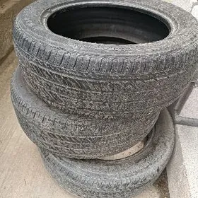 205/55/R16