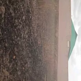 16 sotuk,ýer ýeriñ özi. 🧿