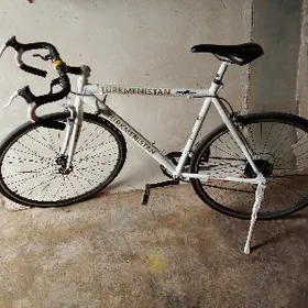 спартивнии тигир