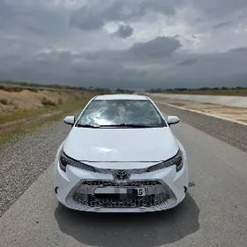 Toyota Corolla 2021