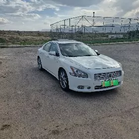 Nissan Maxima 2010