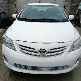 Toyota Corolla 2013