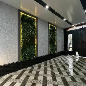 COGONLY KOTEŹ 5 KOM