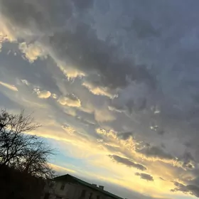 Arenda kwartira gerek