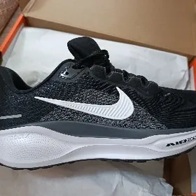 Nike Air Zoom Pegasus 41.