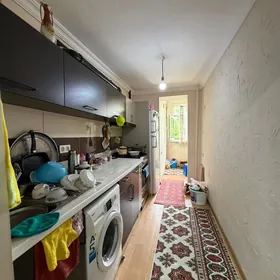 2 мкр от хозяина