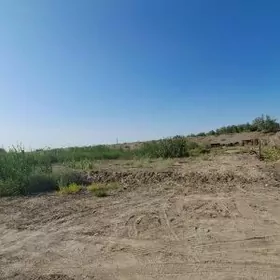 Taza aeroport mellek