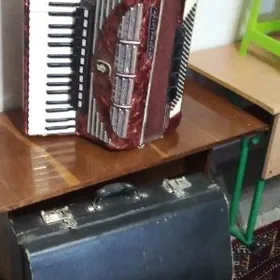 akardion  weltmeister