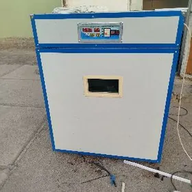 inkubator juje cykaryan