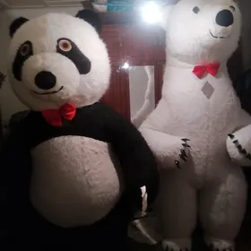 panda ak aýy
