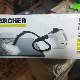 парогениратор