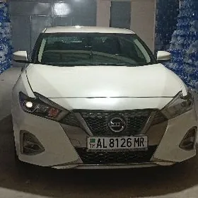 Nissan Maxima 2017