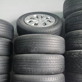 15 lik karolla diska