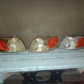 babycka pavorotnik owki