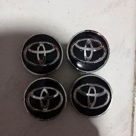 Diska Kalpak Arginal