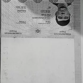 pasport dokument yitdi