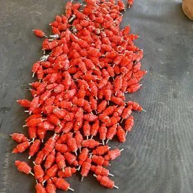 жужелере сув берйен