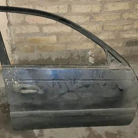 gapy awensis avensis