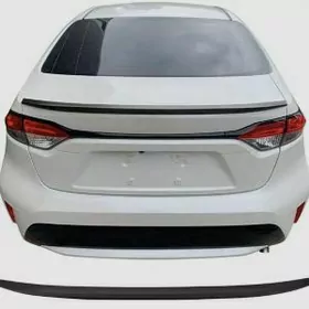 Karola spoler 2019.2025 fulynk