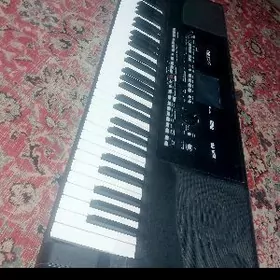 KORG PA 300