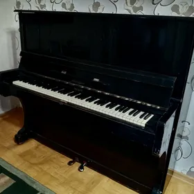 аккорд калуга