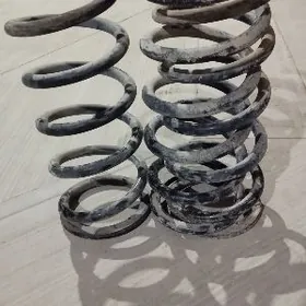 morda gsienna puržin