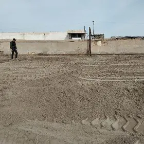 меллек джай