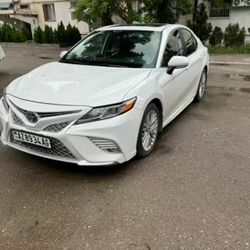 Toyota Camry 2019
