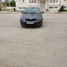 Toyota Corolla 2010