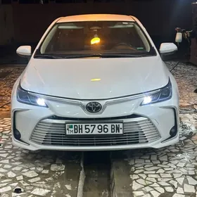 Toyota Corolla 2024