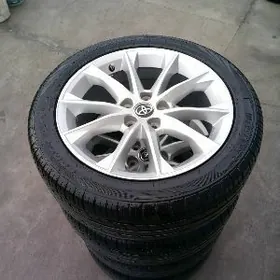 Aziyada disga pakrişga