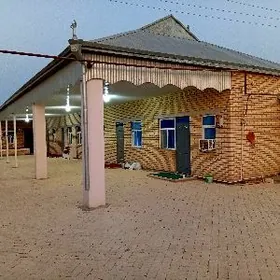 светлые сатлык жай