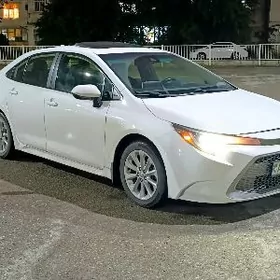 Toyota Corolla 2019