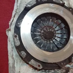 karzina kaloss morda