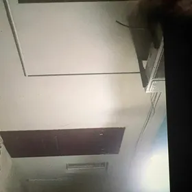 Arenda      Çoganly 