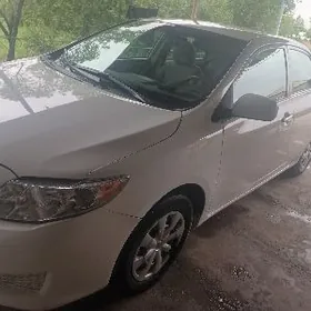 Toyota Corolla 2008