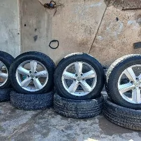 16lyk diska pakriška