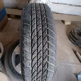 тигр покрышка