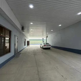 Anew Magtymguly 12sotok