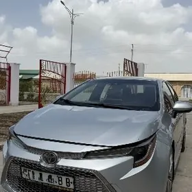 Toyota Corolla 2019