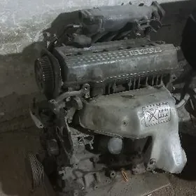 corona mator stuk beren