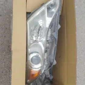 wenza fara sag tarap