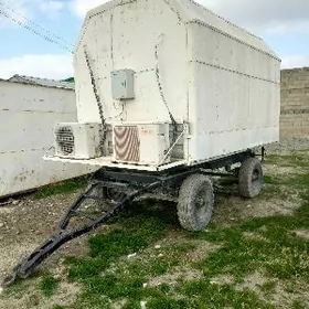 toy sowadyjy holadinik