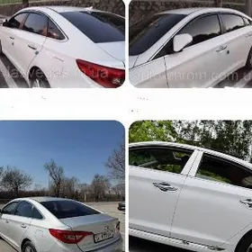 Sonata 14-19 ruçkan nikeli