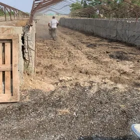 ketek yyladyshana bos yer