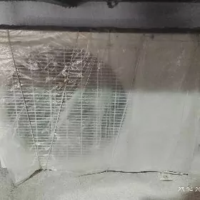 40 lyk splint kondisoner