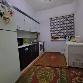 Satlyk Arzuw pasyolka plan jay