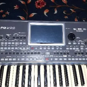 Korg pa900