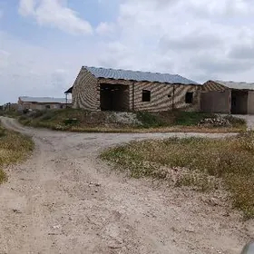 satlyk Jay Halac saher