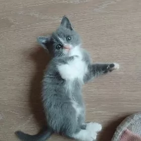 Очаровательные малыши